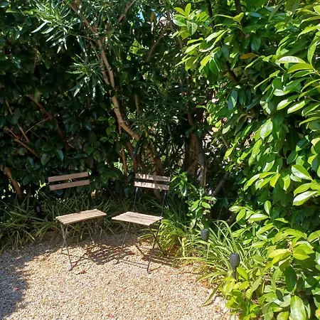 Maison Palm Cannes